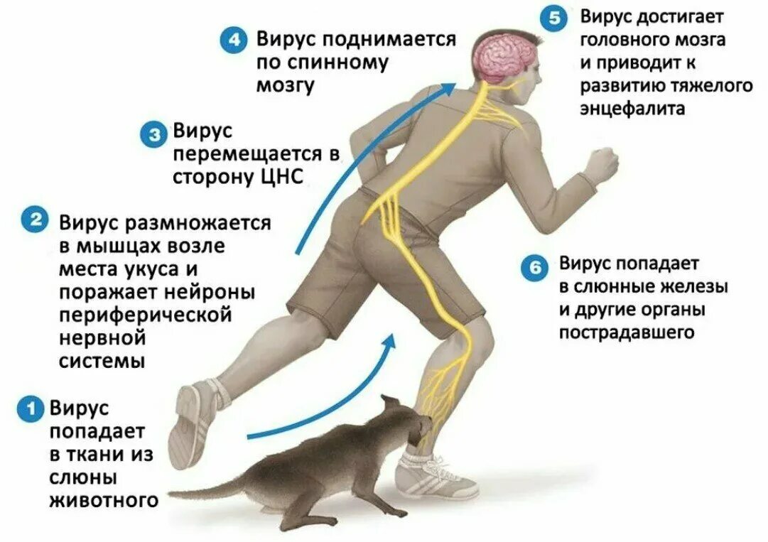 Что такое от в