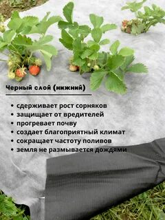 Агротекс черный