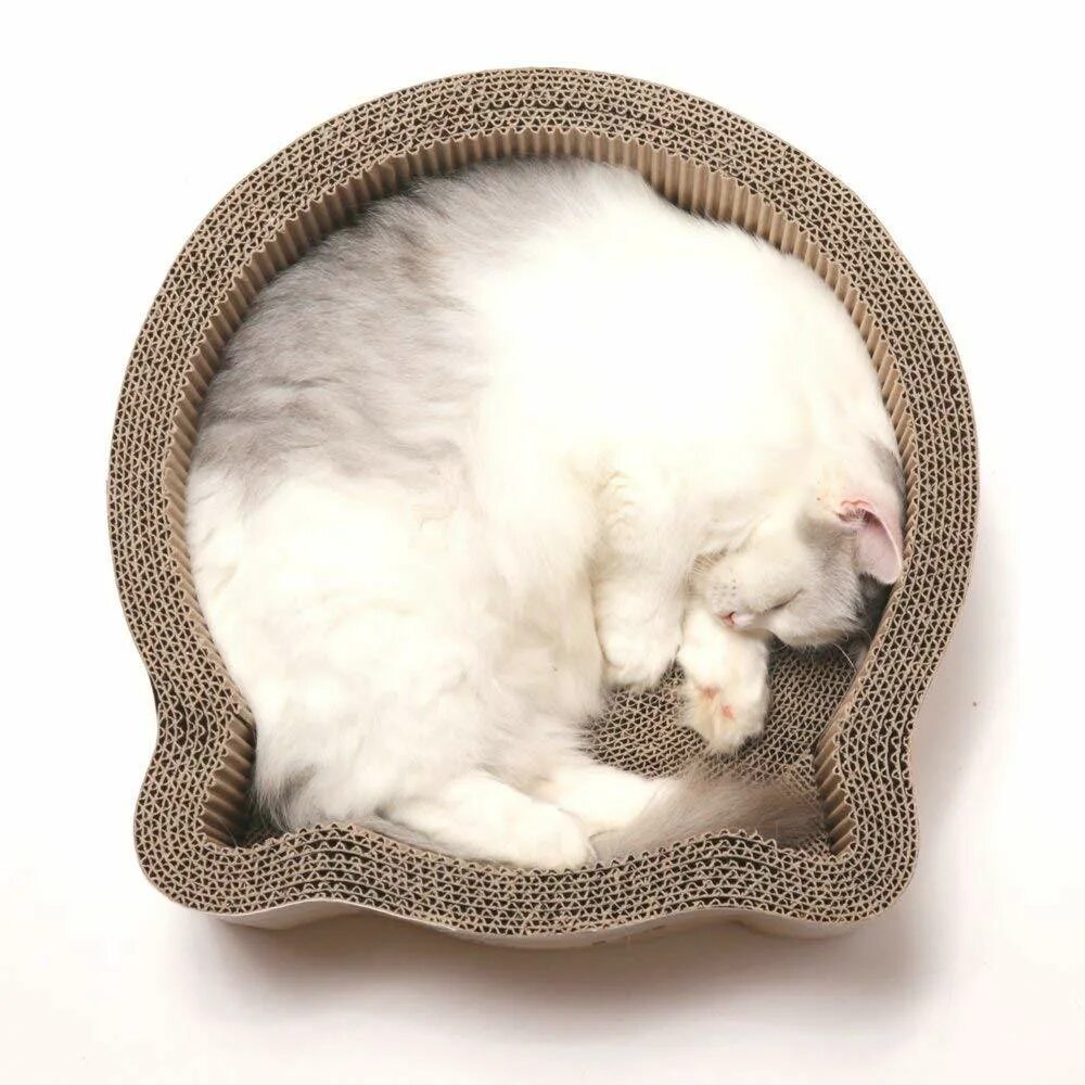 Round cat. Кровать для кота картонная. Рифленая кошка. Котик в кровати.