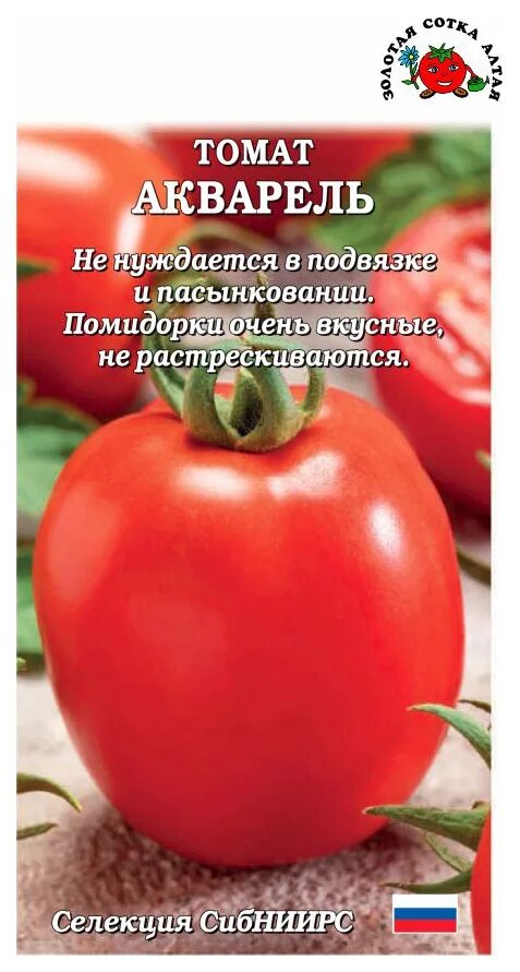 Золотой алтай томат. Томат бычок Золотая сотка Алтая. Семена томат акварель. Помидоры сорт акварель.