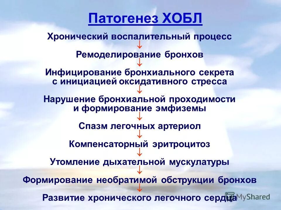 Хроническая обструктивная болезнь лёгких этиология. Хроническая обструктивная болезнь легких патогенез. Развитие хобл. Развитие хобл. Внутренние факторы риска хобл.