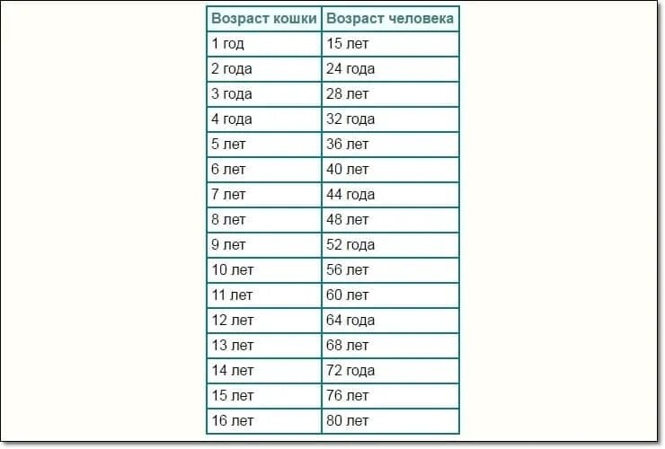 Перевод кошачьего возраста на человеческий. Как считать сколько лет кошке по человеческим меркам. Соотношение кошачьего и человеческого возраста таблица. Возраст кота по кошачьим меркам таблица. Сколько лет кошке по человеческим годам таблица.