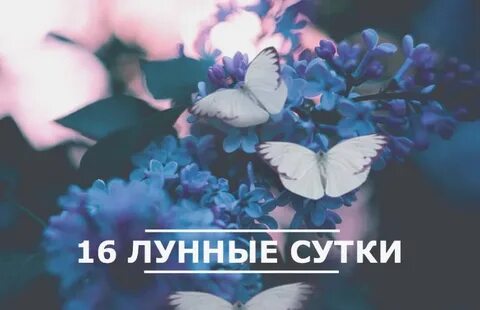 16 день луны