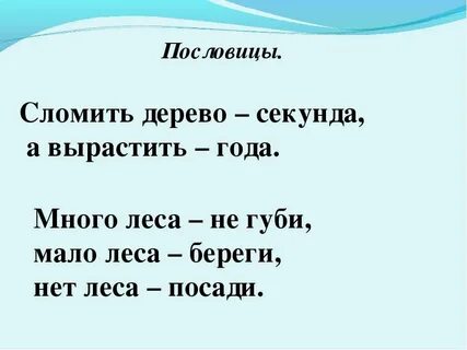 Запиши пословицы предания сказки народов твоего края