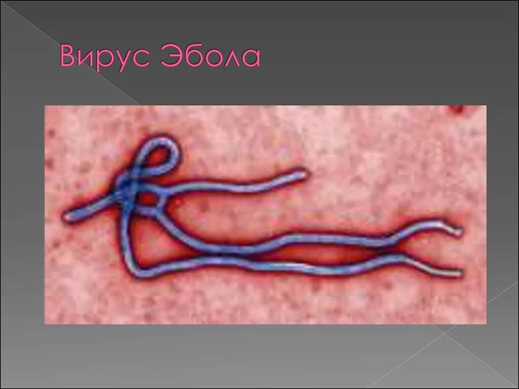 Марбуг