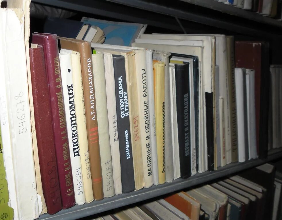 книги на миллион. книжный двор ульяновск ленина 95. краеведение в библиотеке. книжный дозор библиотека фонарь дворец книги ульяновск. 20 миллионов книг.