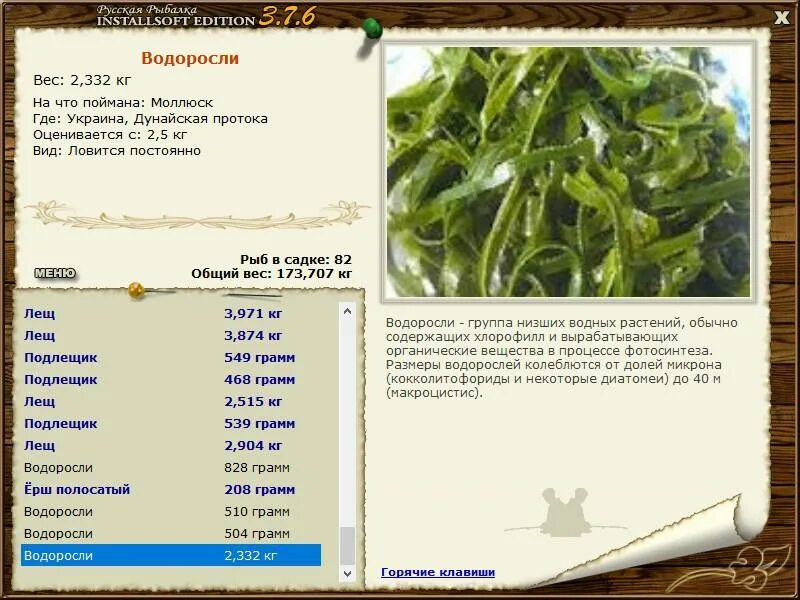 масса водорослей. определить плотность водорослей. деревенские просторы где ловить водоросли. масса водорослей. бурые водоросли фитопланктон.