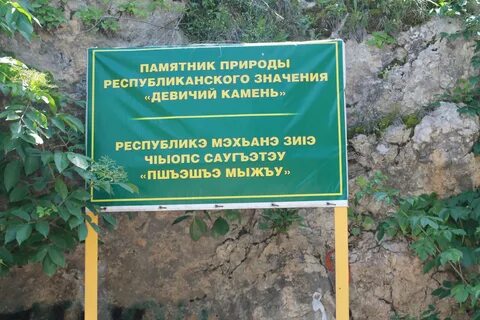 Ботанические памятники природы