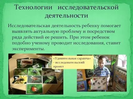 Проектная технология организация исследовательской деятельности