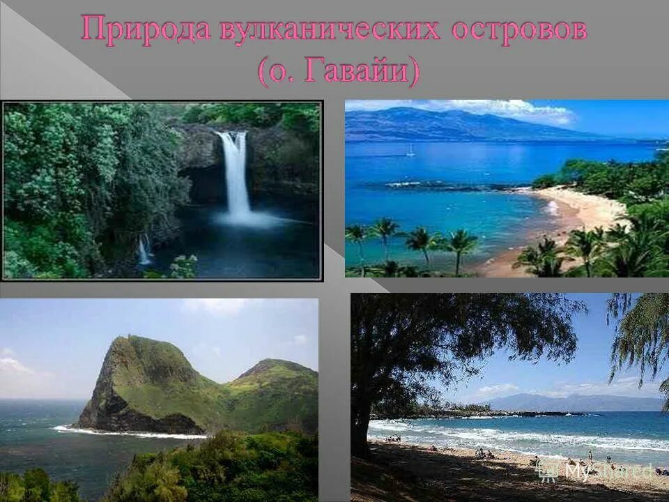 Природа океании 7 класс география. Природа океании презентация. Конспект на тему океания. Природа океании кратко. Океания природа население и страны презентация география.