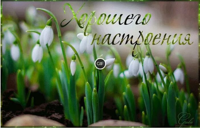 Приветствую весну