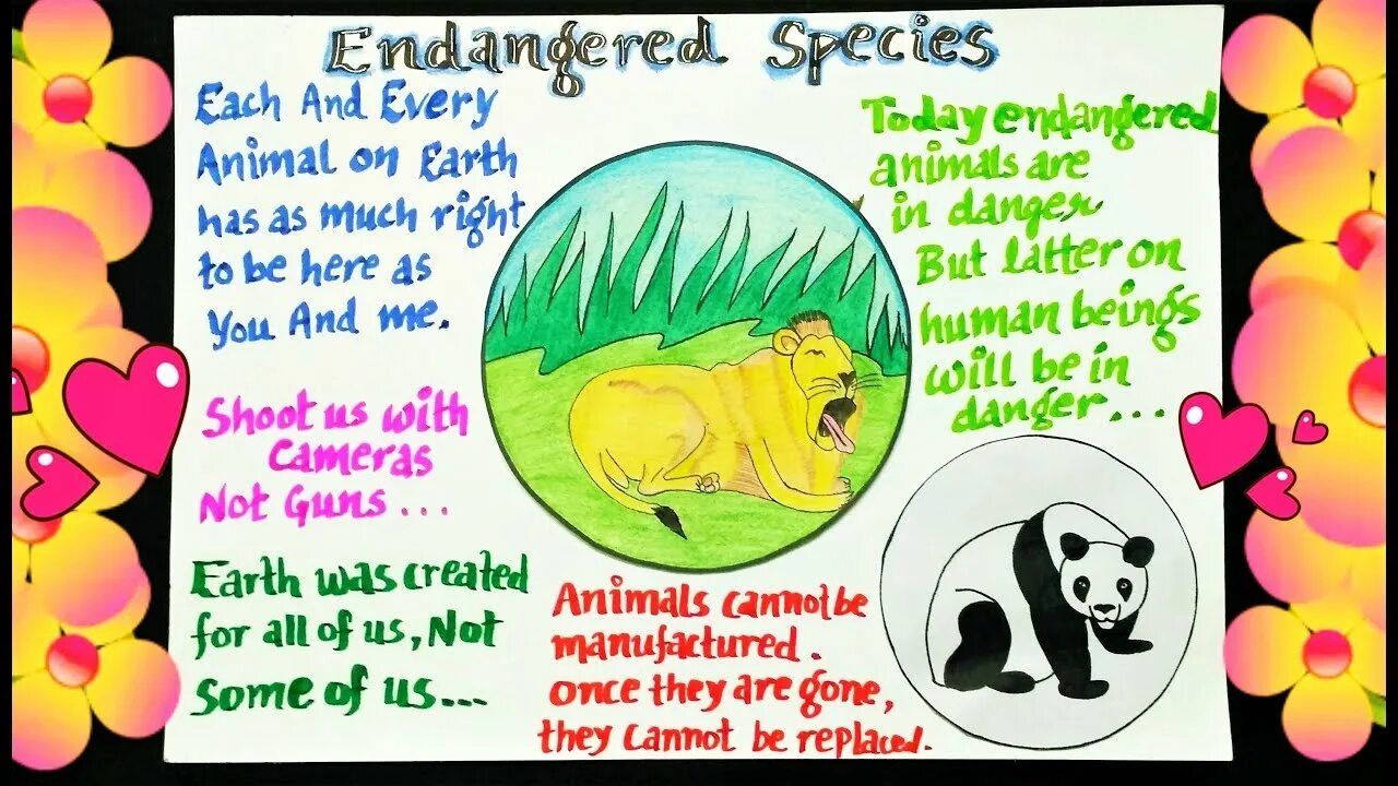 Endangered animals плакат. Плакат animal help. How can we help endangered species проект. How to save endangered animals. Our endangered planet