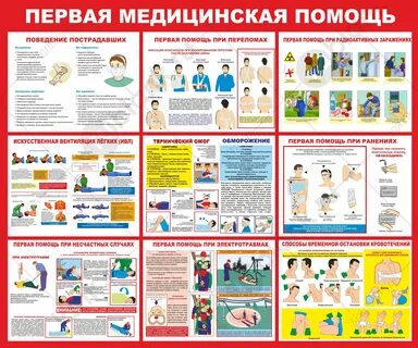 Знание правил оказания первой медицинской помощи