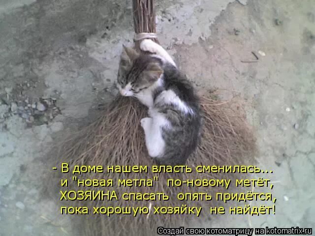 Хорош точить жратву. Придется пока. Смешные стишки про учителей. Юморные стишки про учителей. Придется это терпеть.