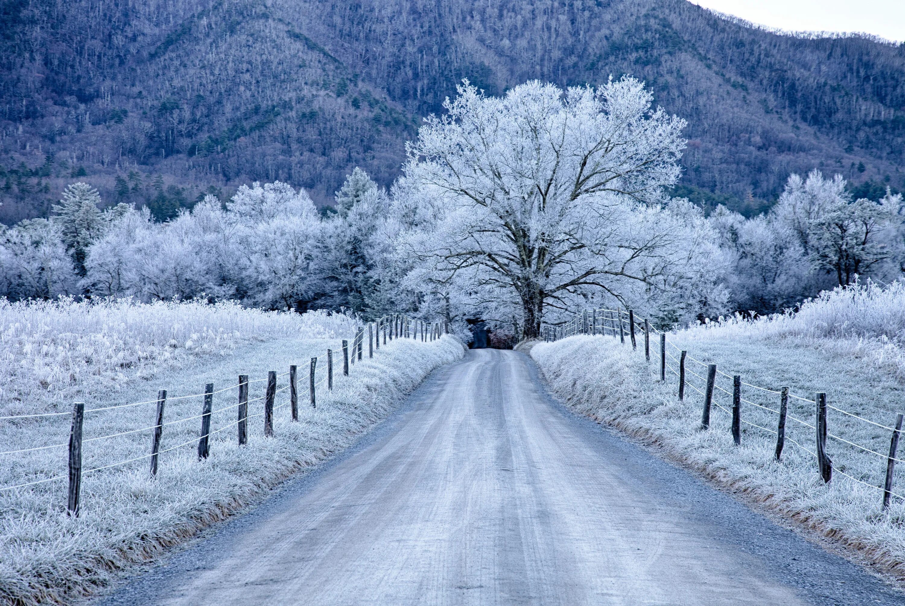 Зимняя дорога. Красивая зима. Зима снег. Заснеженная дорога.