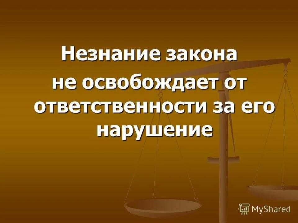 Незнание закона от ответственности не. Незнание закона не освобождает. не щнание закона не освобождает от ответственности. не знание ге освобождает от ответственности. поговорка незнание законов не освобождает от ответственности.