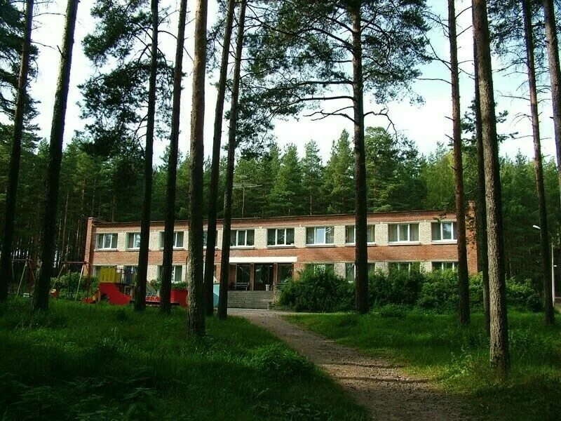 Петровское лен обл. Лагерь связист приозерский район. дол связист ленинградская область. связист детский лагерь в ленинградской области. база отдыха связист приозерский район.