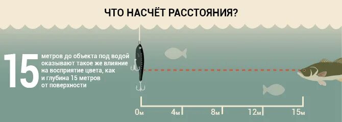 Вода поглощает свет. Цвет приманки в зависимости от глубины. Цвет приманки на глубине. Поглощение света и цвет приманки. Рыбы различают цвета.