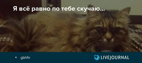 Все равно буду скучать