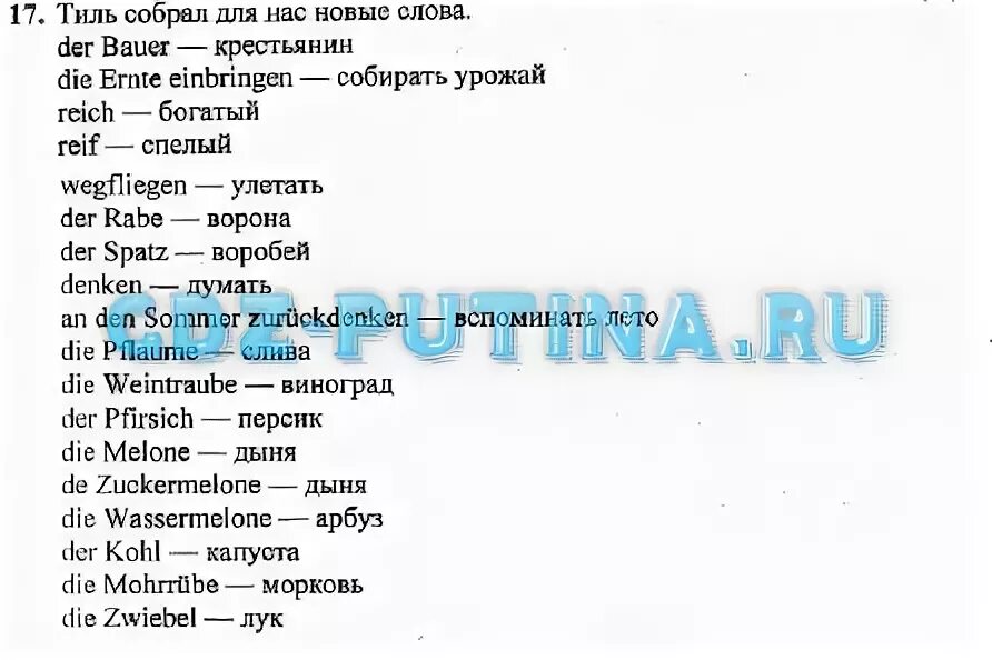 Немецкий язык 2 класс слова. Слова по немецкому 6 класс. Слова на немецком 6 класс. Текст по немецкому 6 класс. Слова по немецкому языку 5 класс с переводом.