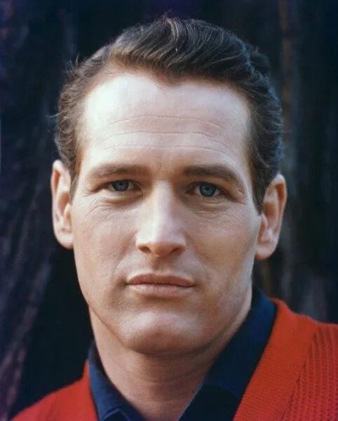 The Paul Newman Look Paul newman, Newman, Hollywood men