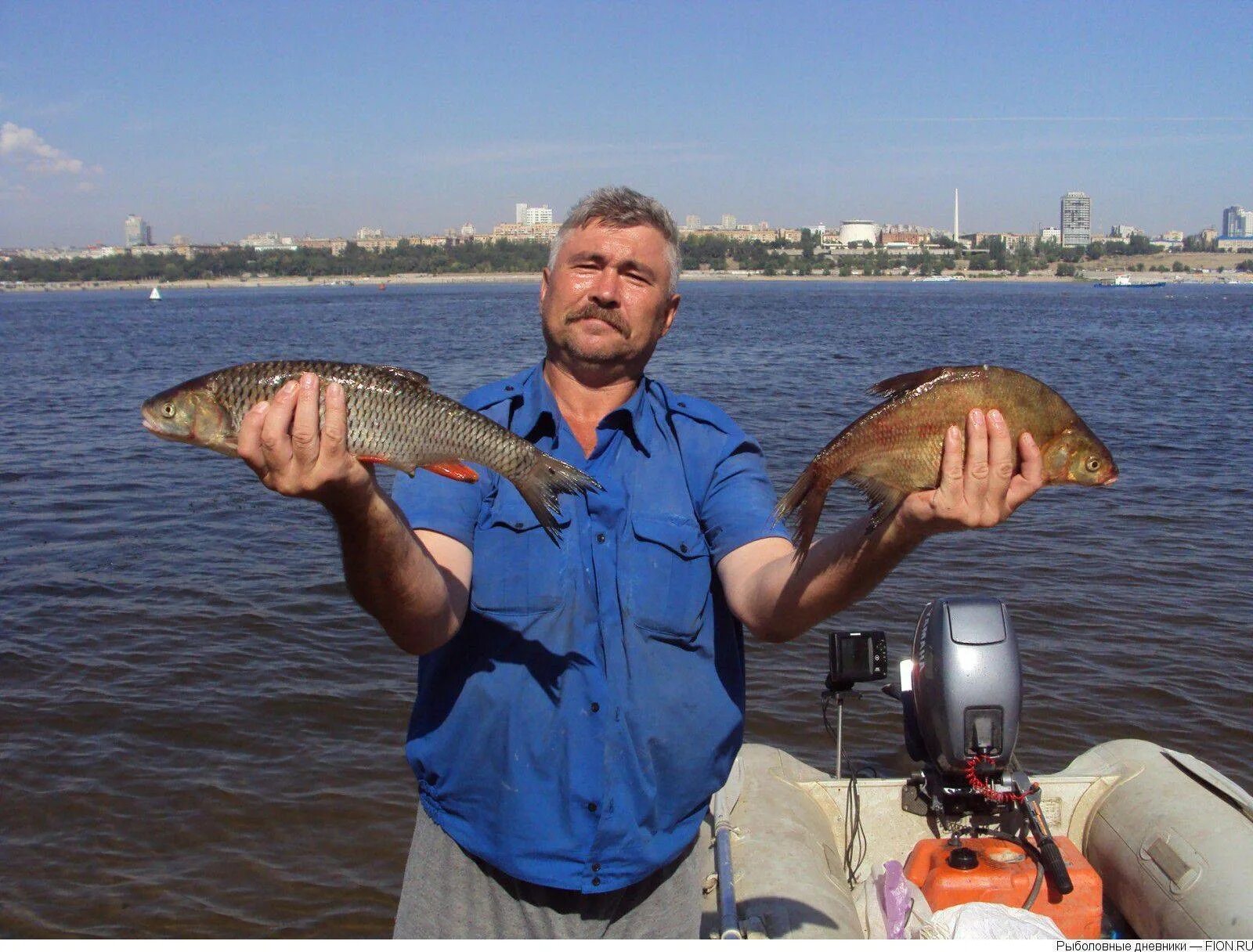 Рыбалка в Волгограде. Рыбы Волгоградской области. Рыба в Волгограде. Рыбалка в Волгоградской области.