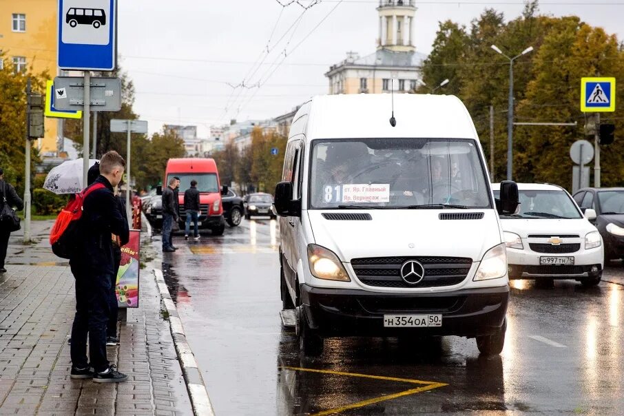 Городские маршрутные автобусы