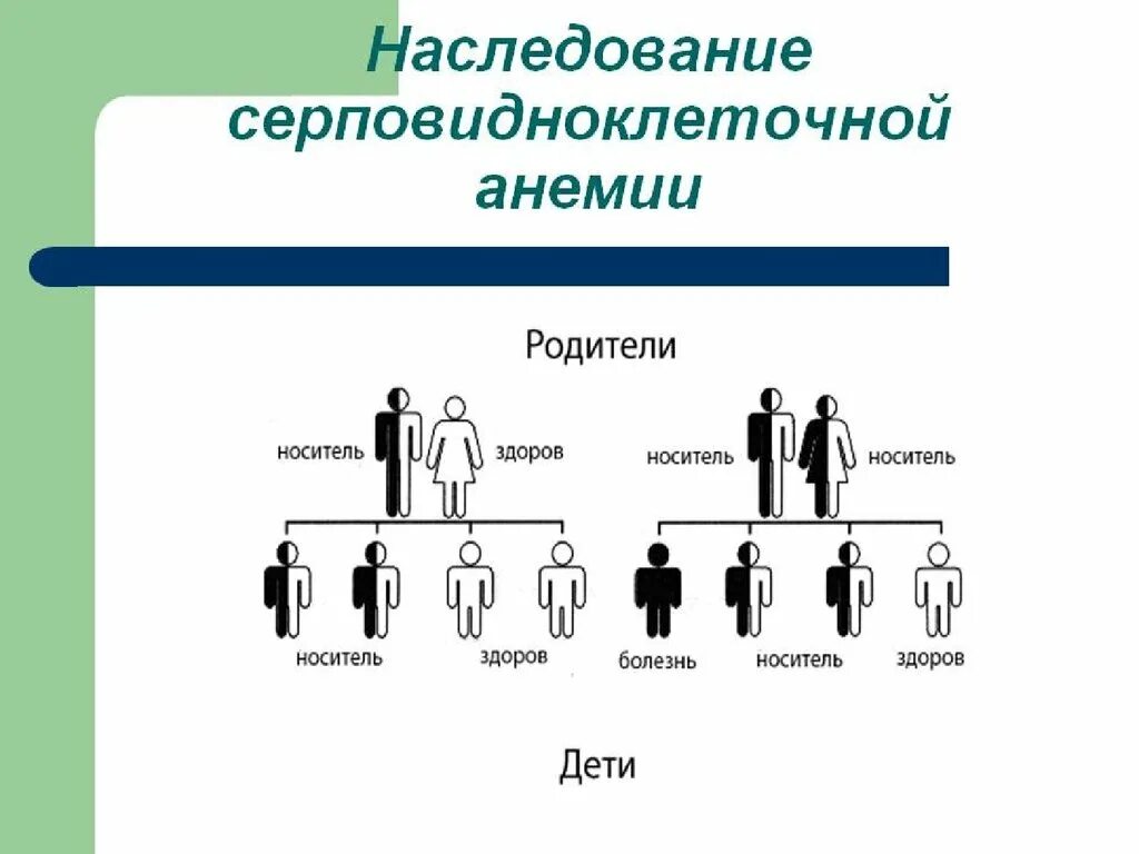 Наследование по отцу семья. Аутосомно-доминантный Тип наследования. Тип наследования аутосомно-рецессивный это в биологии. Серповидноклеточная анемия Тип наследования родословная. Тип наследования серповидно-клеточной анемии.