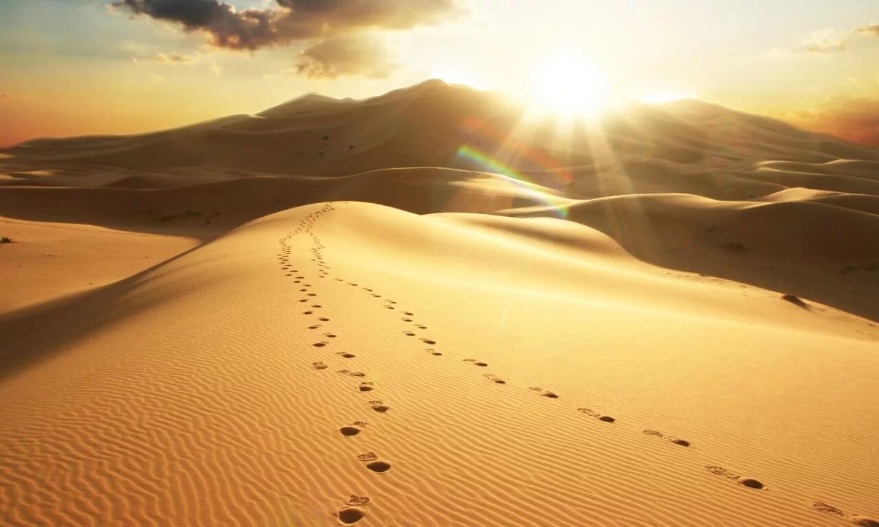 Sand walk