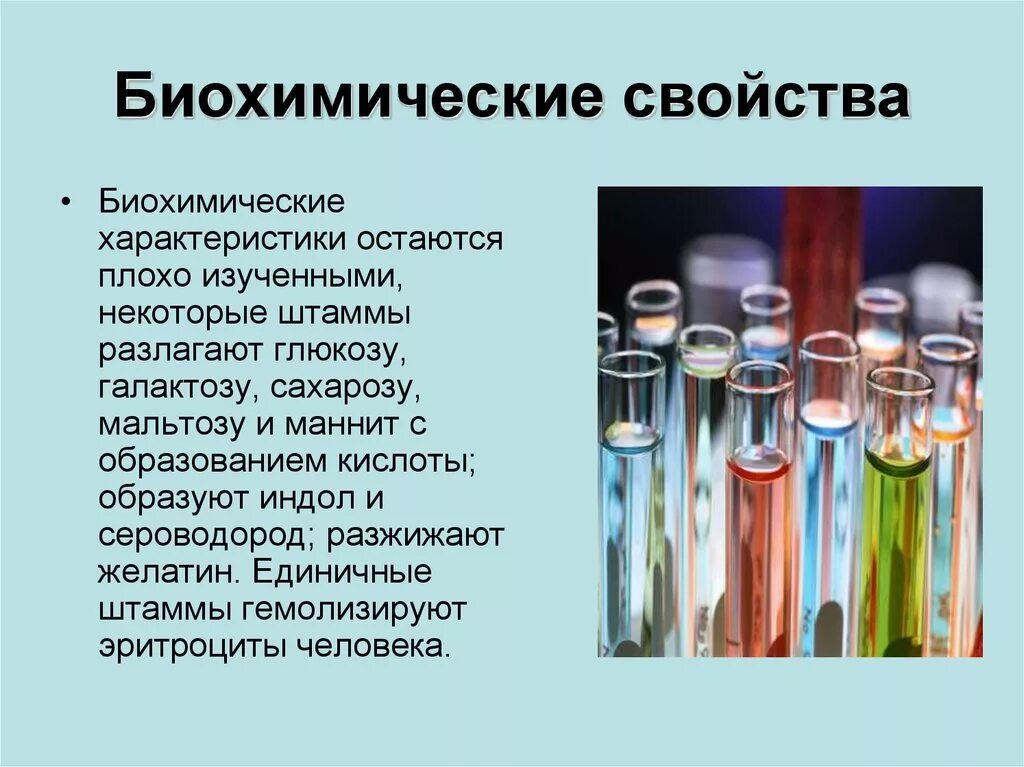 Качество пестр. Биохимические свойства бактерий. Биохимические характеристики. Биохимические характеристики микроорганизмов. Биохимические свойства гриппа.