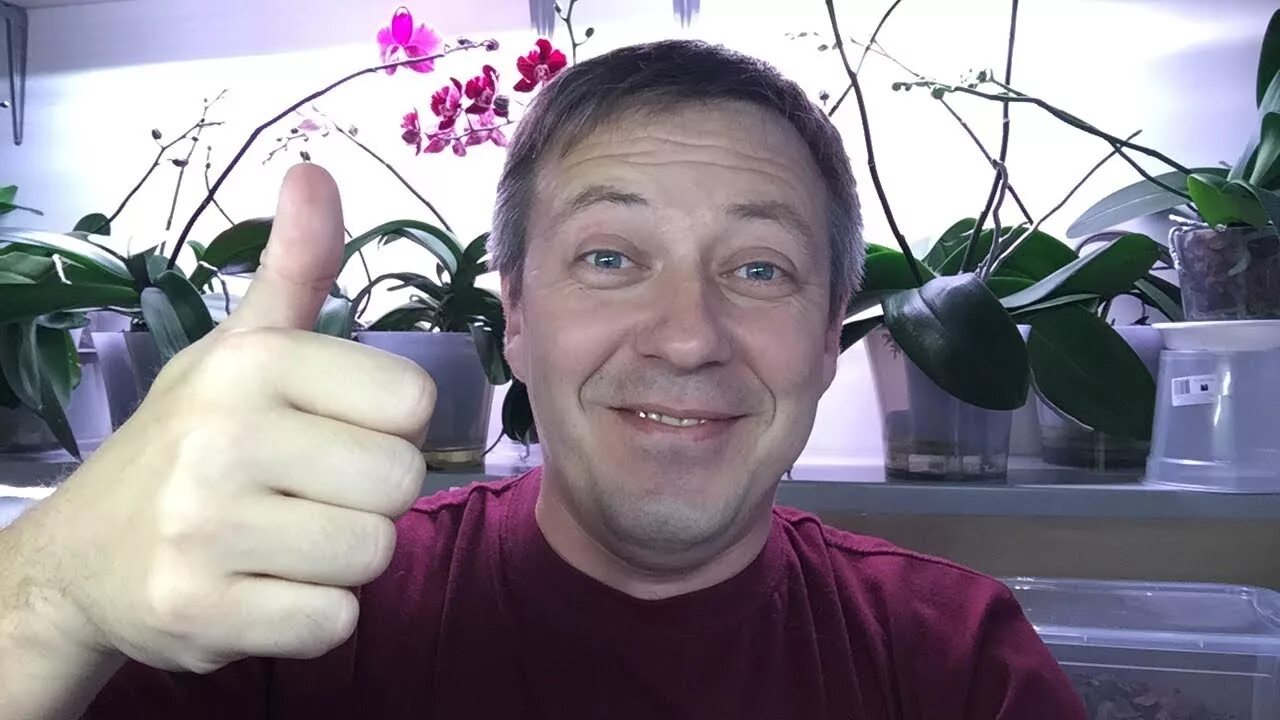 Горячевский тройняшкин папа ютуб. Руководитель-показушник. Горячевский тройняшкин папа ютуб. Папегеоргия шдзс. Горячевский тройняшкин папа ютуб.