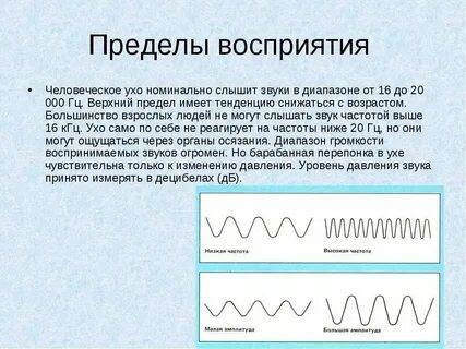 Частота звука воспринимаемая ухом человека