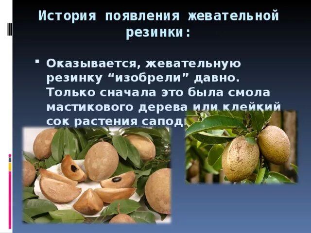Жевательная резинка в древности. История жевательной резинки слайды. История возникновения жвачки. Рассказ о жвачке. История жевательной резинки.