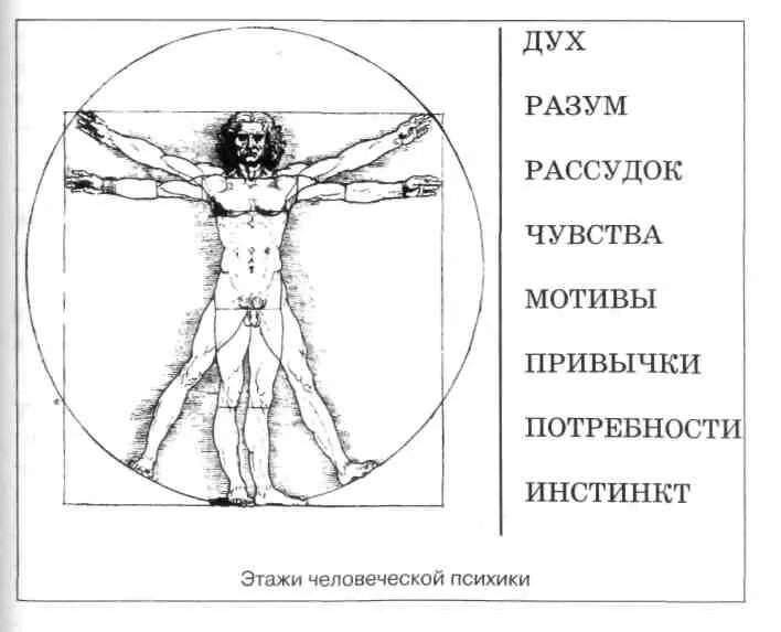 Дух духи и тел книга. Тело разум дух. Тело духа человека. Человек тело разум дух. Дух это разум человека.