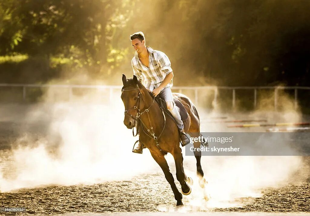 Индийский галоп. Колетта лошади. Фото мужчина на лошади верхом. Всадник с лошадью. Конь сидит.