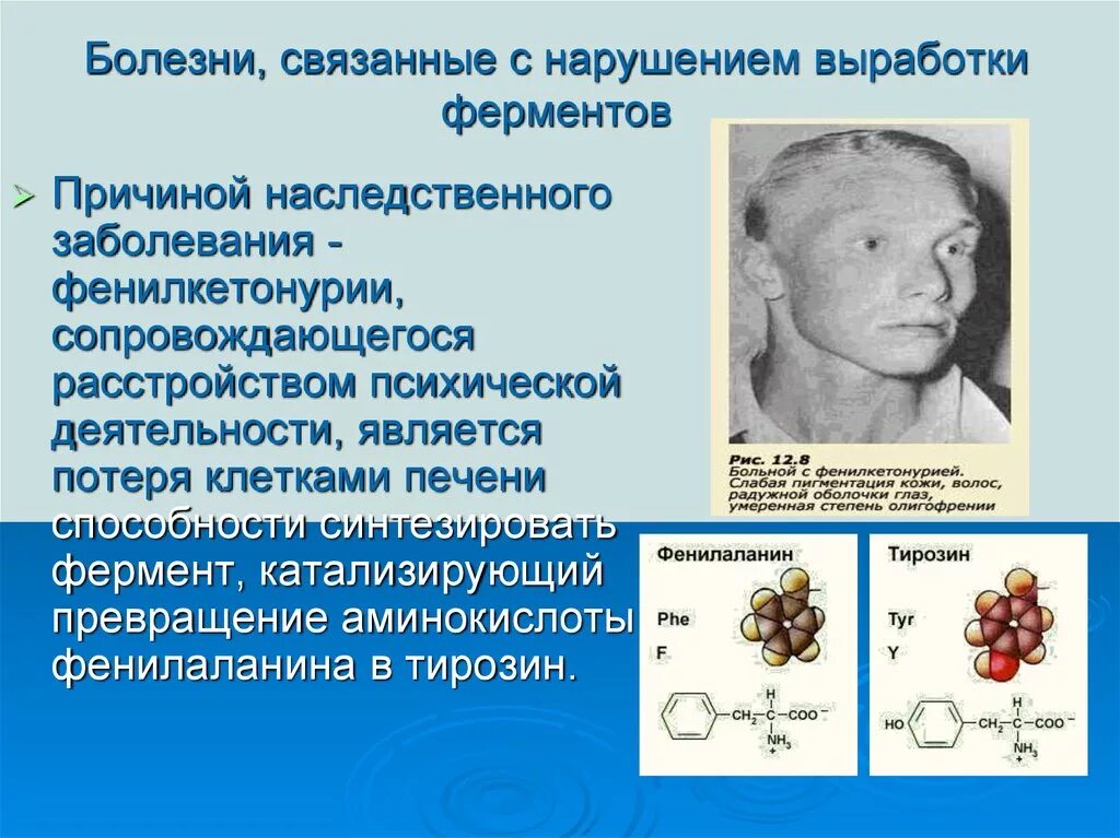 Фенилкетонурия фермент. Болезни связанные с нарушением выработки ферментов. Заболевания связанные с нарушением синтеза ферментов. Заболевание свзяоные с нарушением. Болезни вызванные недостатком ферментов.