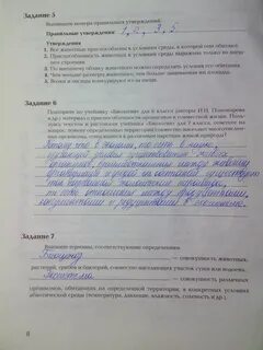 Выпишите номера правильных утверждений