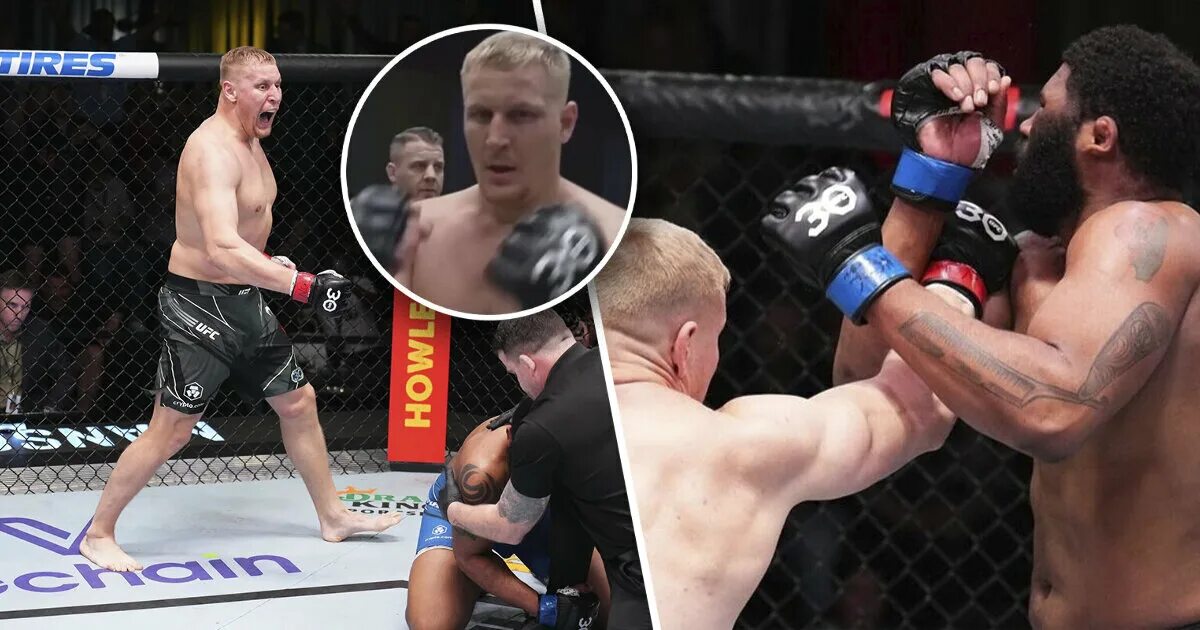 Ufc 12.10 2025. Бой 6. павлович ufc. ufc статистика.