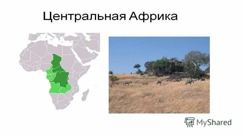 характеристика центральной африки