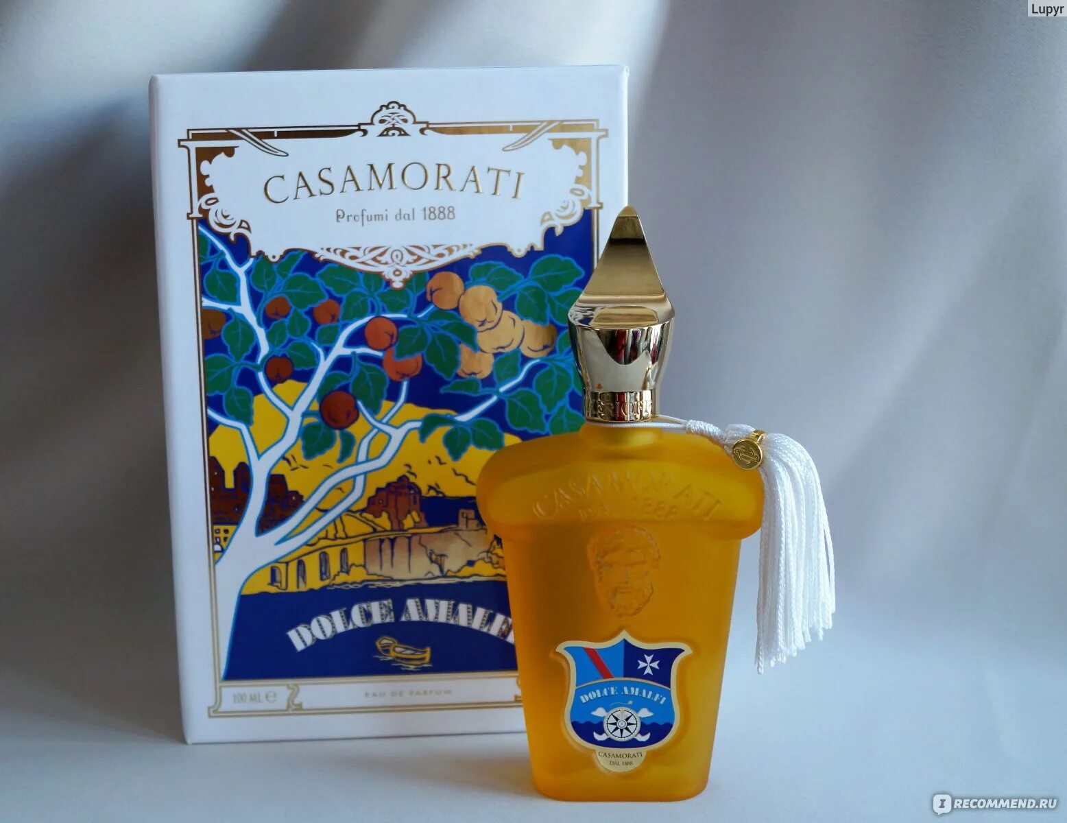 Dolce Amalfi Xerjoff Парфюм. Casamorati Dolce Amalfi. Dolce Amalfi от Xerjoff. Xerjoff Dolce Amalfi Unisex. Dolce amalfi xerjoff