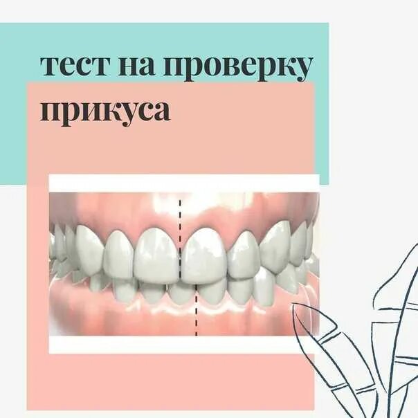 Какие должны быть зубы у человека. Правильный прикус вид сбоку. правильный прикус у человека. правильный прикус у человека сбоку. правильный прикус зубов сбоку.