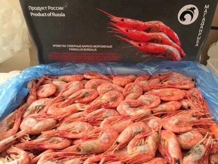 Сайт северное морепродукты интернет