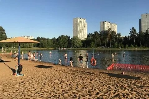 Зеленоград силино погоды