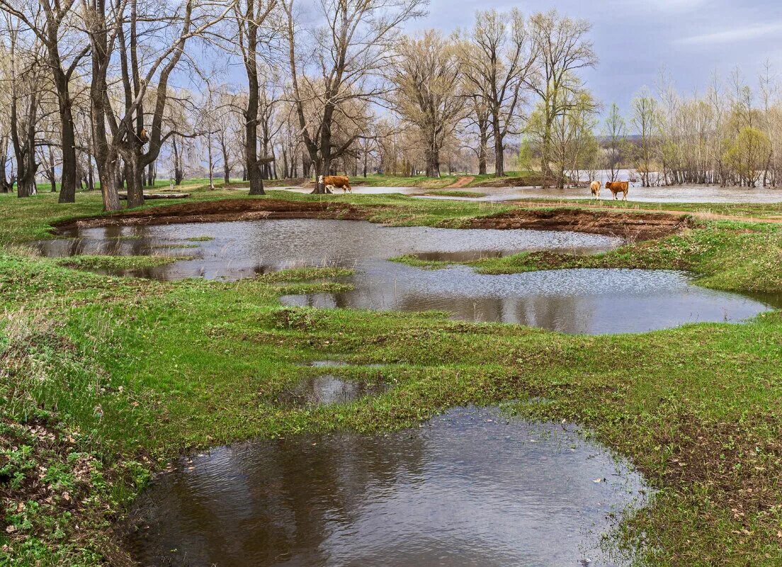 Фотография реки. Любовь толкалина. Р сћр рѕрісњ. Z за рыбалку. Рыбалка за кизилом.