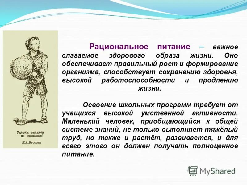 здоровое рациональное питание. значение питания для роста и развития организма. значение питания для роста и развития детей. процесс развития организма. каково значение питания для организма.