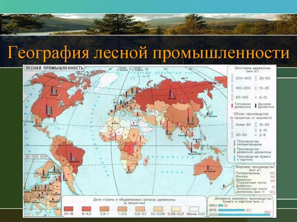 Лесная промышленность страны Лидеры. Лесная и деревообрабатывающая промышленность география. Страны производители Лесной промышленности.