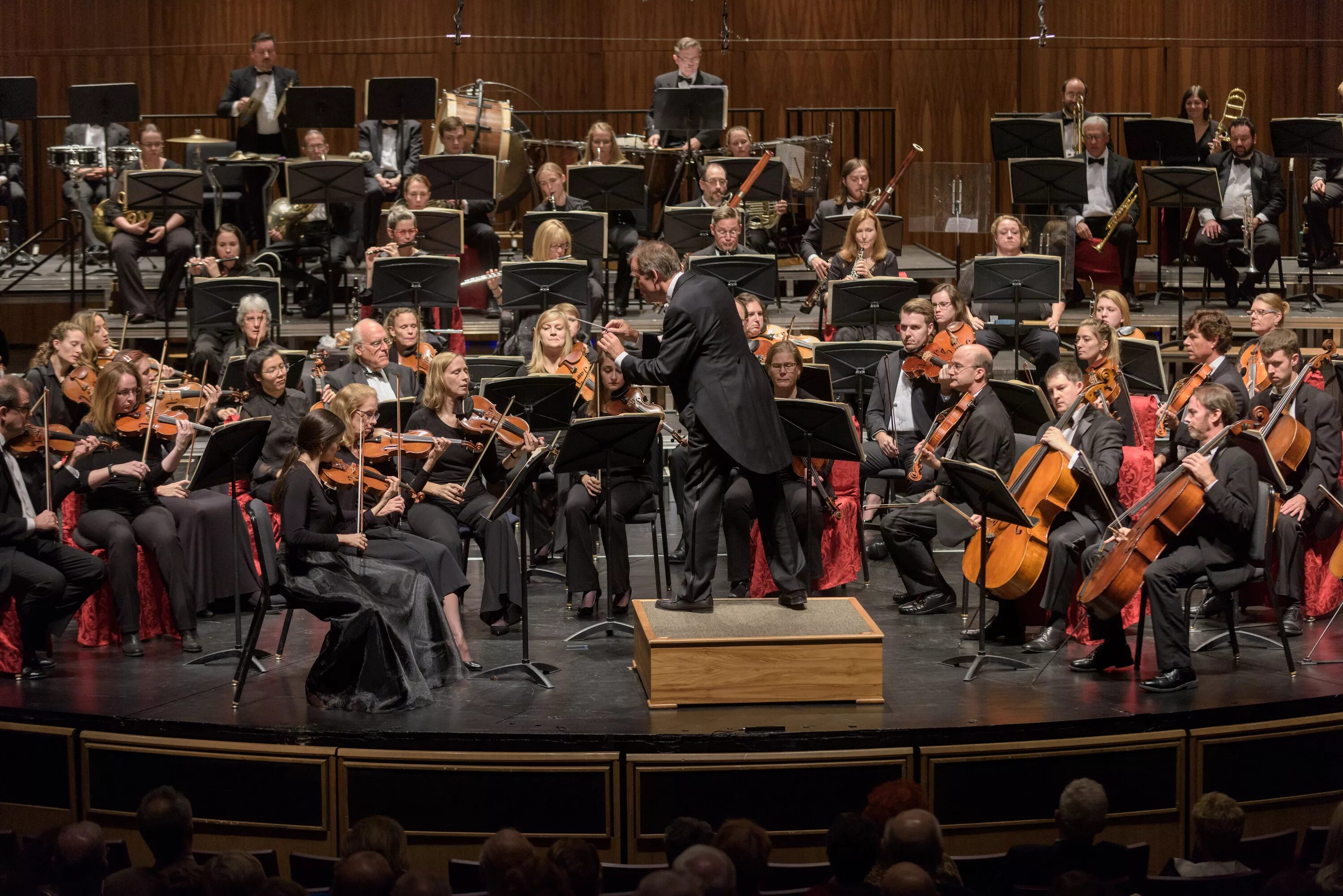 Symphony Orchestra. Симфони... Оркестр белградск.... Это симфония это симфонический. Симфонический оркестр Екатеринбург.