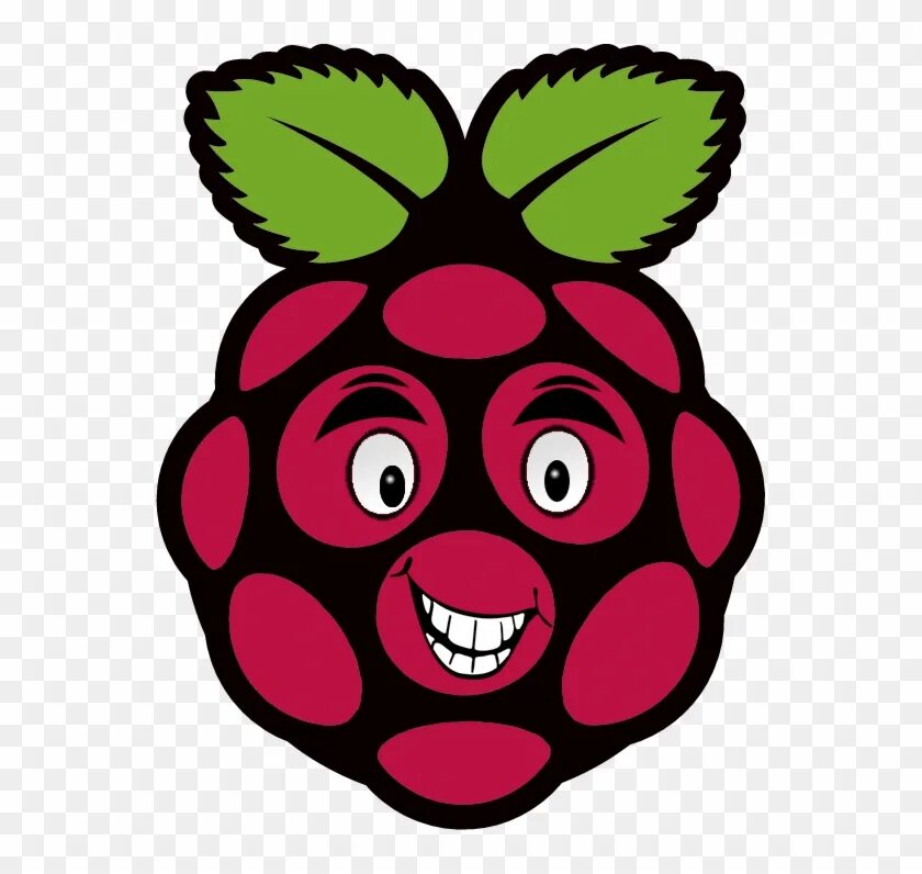 Ide raspberry. Распберри малина. raspberry малинка. raspberry pi logo. распберри пай лого.