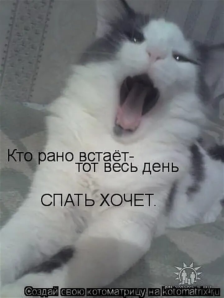 Моя тут исполняет дурею