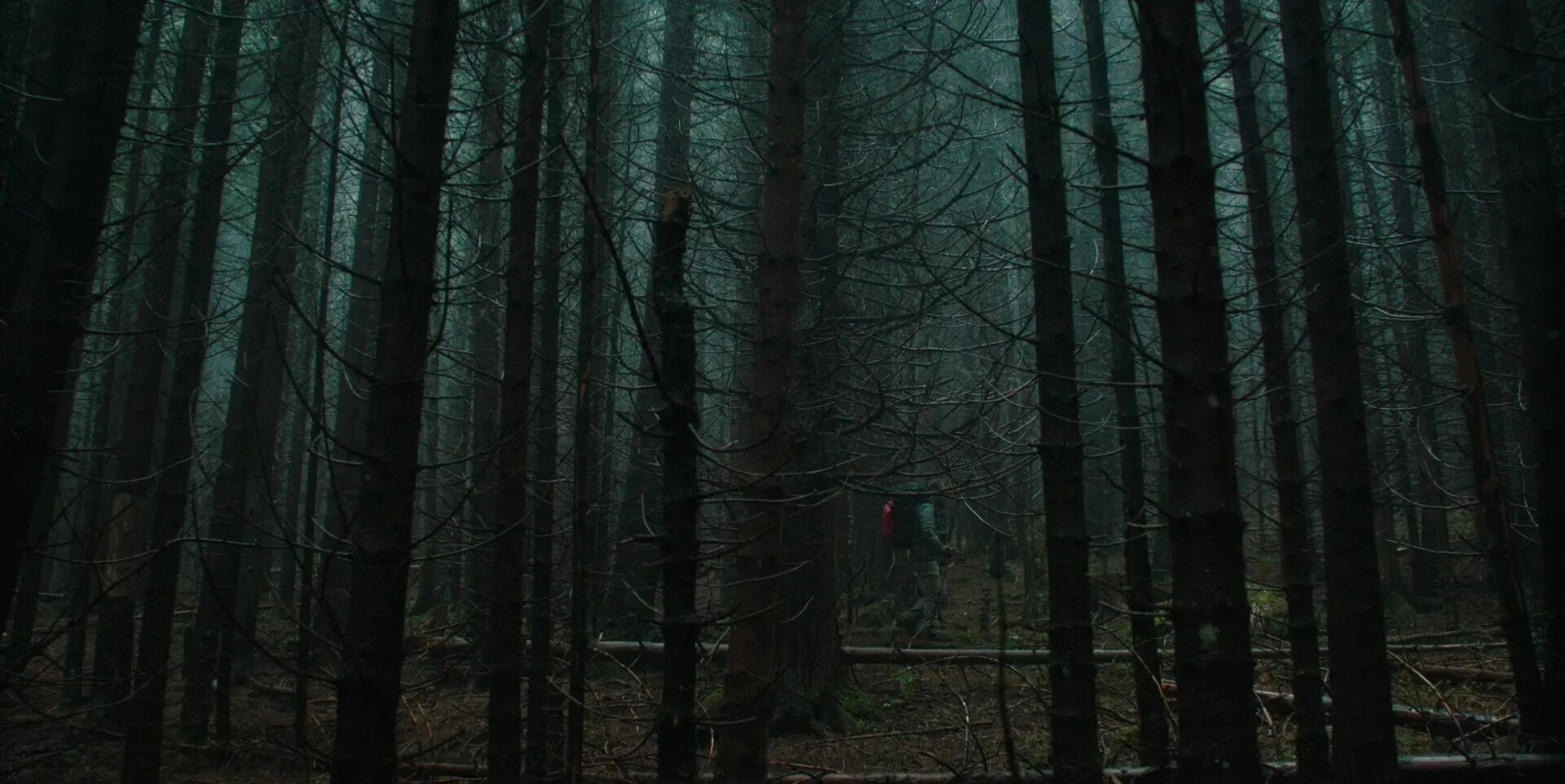 Мстители страшный лес 1. Темный лес the woods 2005.